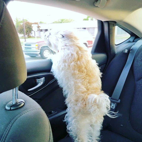 Meet your Posher, Andrea - Picture 2 of 7